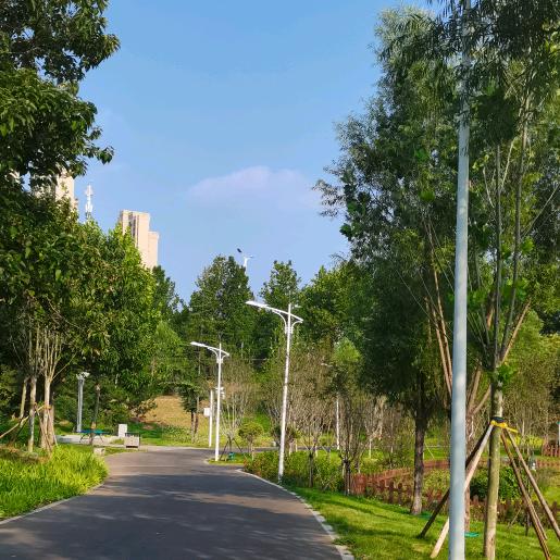 小赵帮你找好房