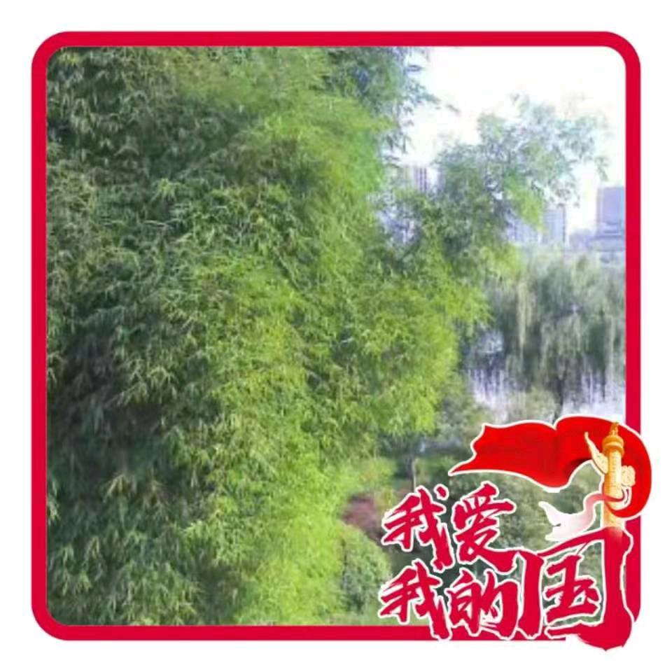 三哥