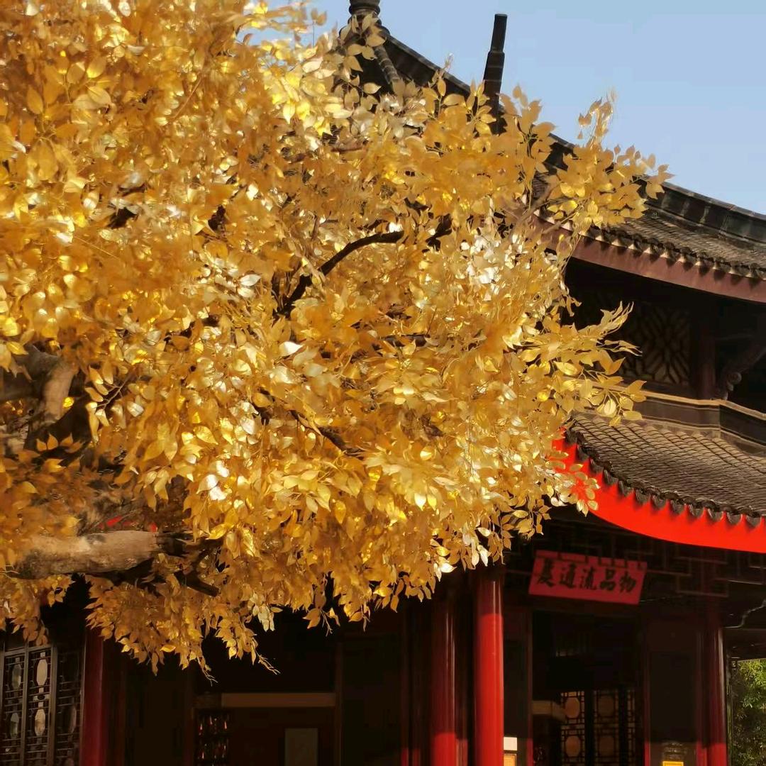 隔壁佩奇