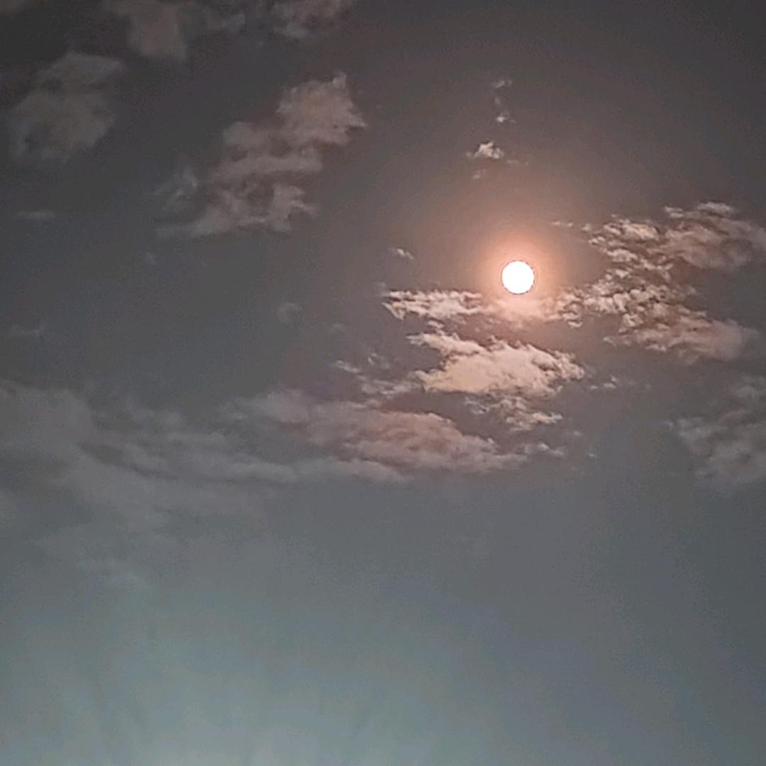 随风一起ツ