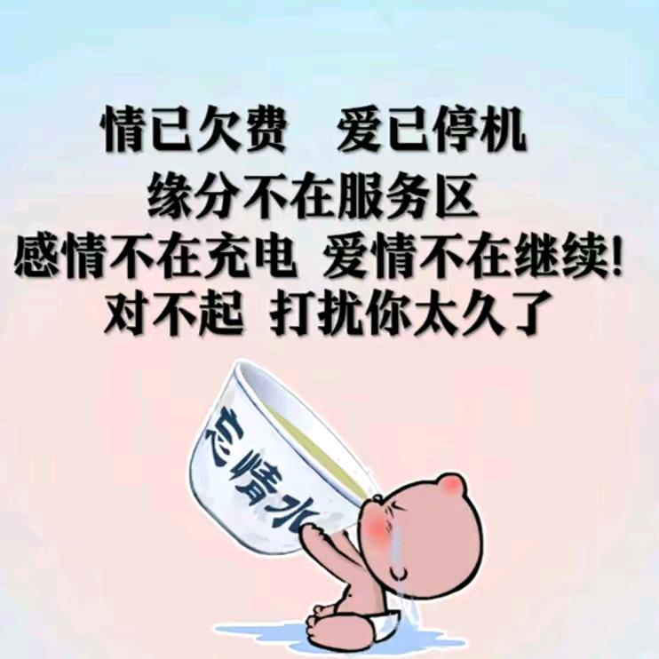 ╭(╯ε╰)╮静心