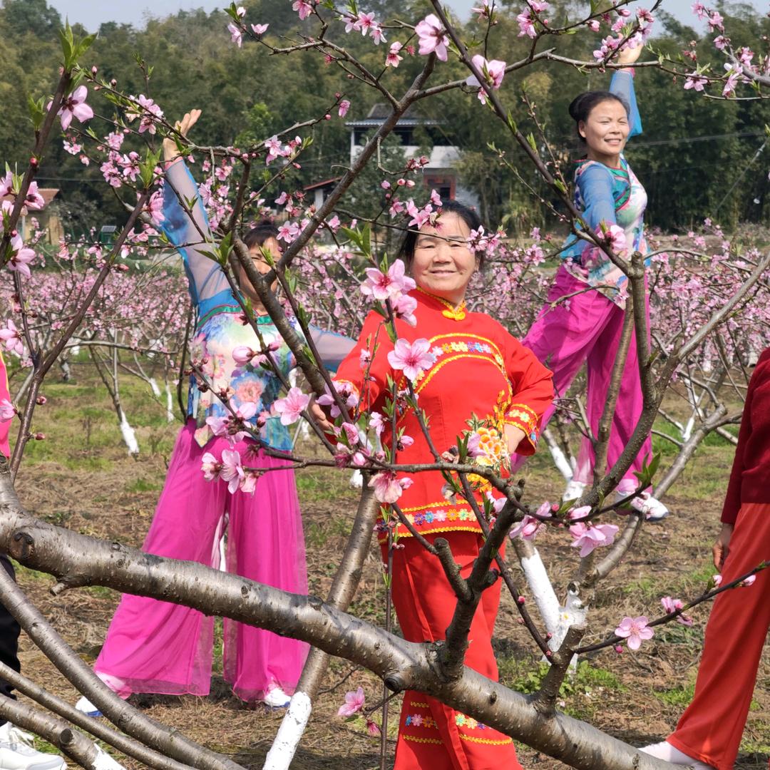 @渔舞养宠杨姐