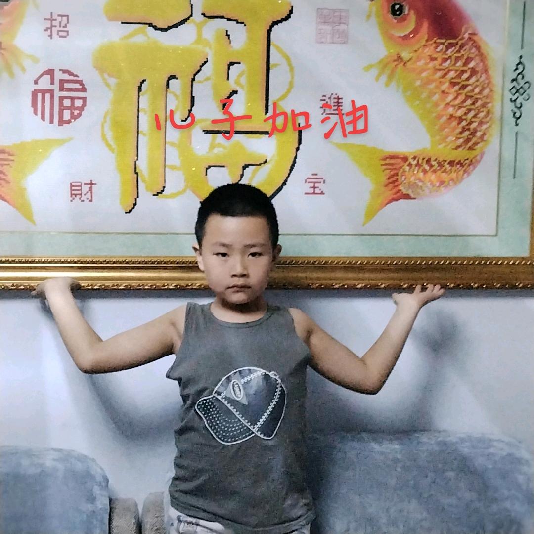 沽源蔬菜代办出售小红砖