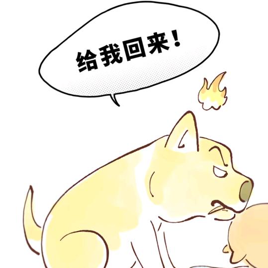 星光王子