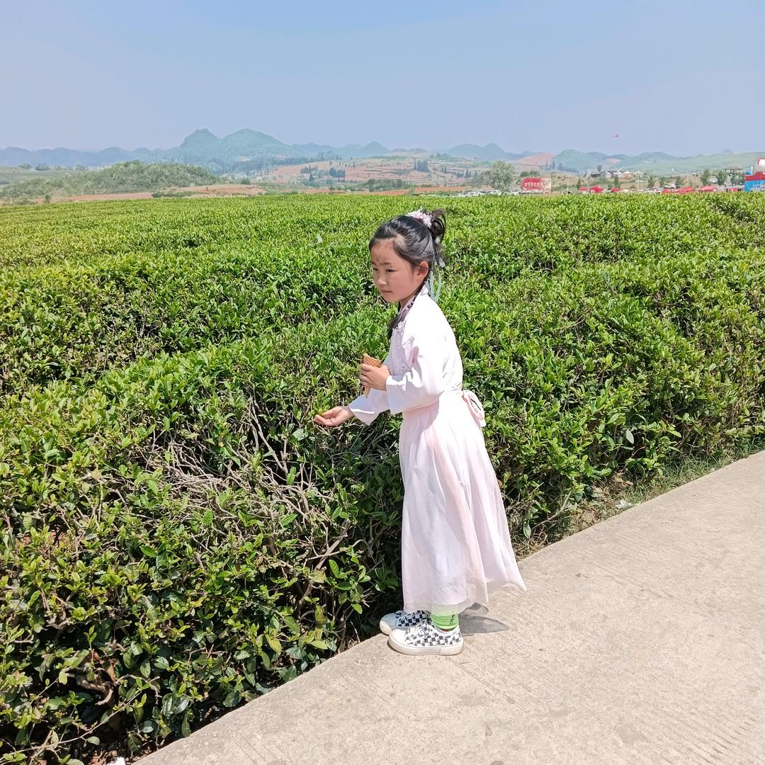 浪花淘尽多少英雄？