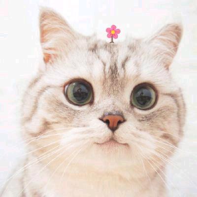 欣欣宝贝💋