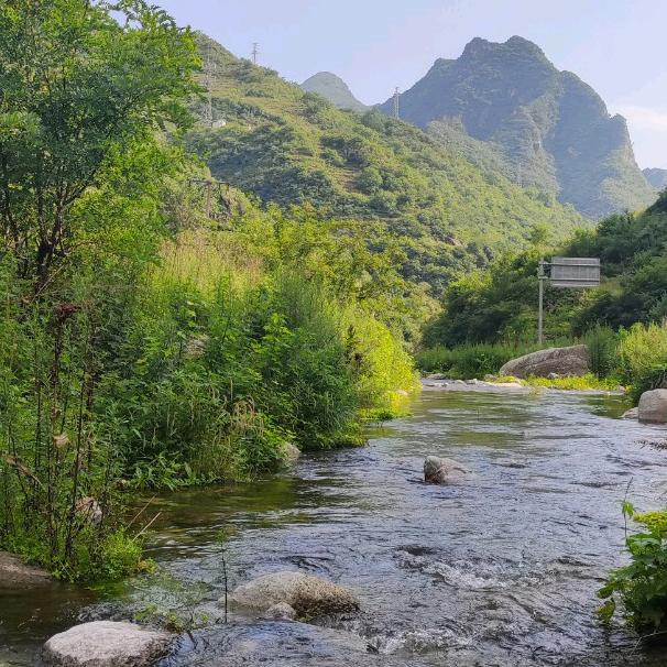 姐的温柔喂了狗