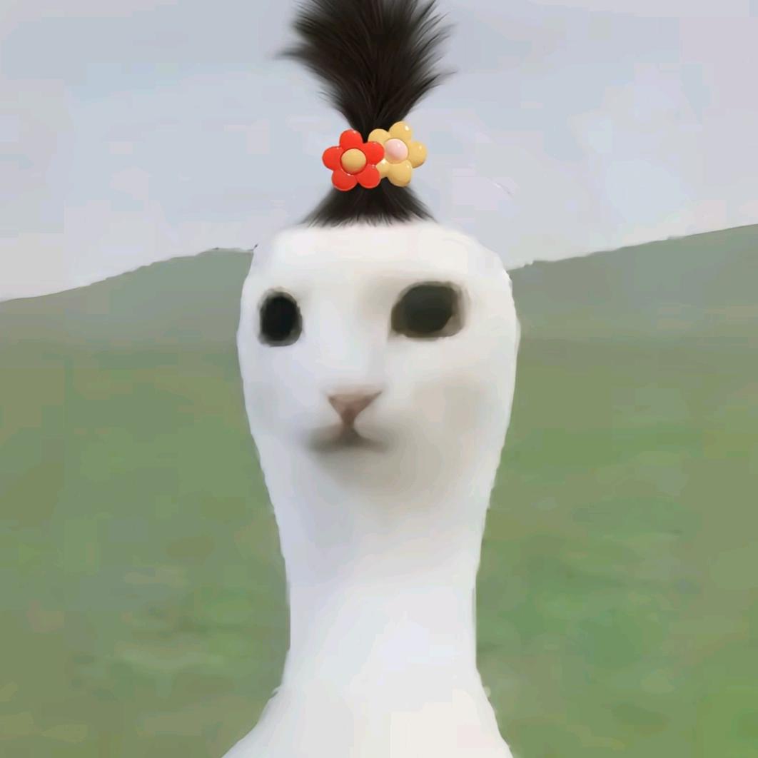 小圆本圆