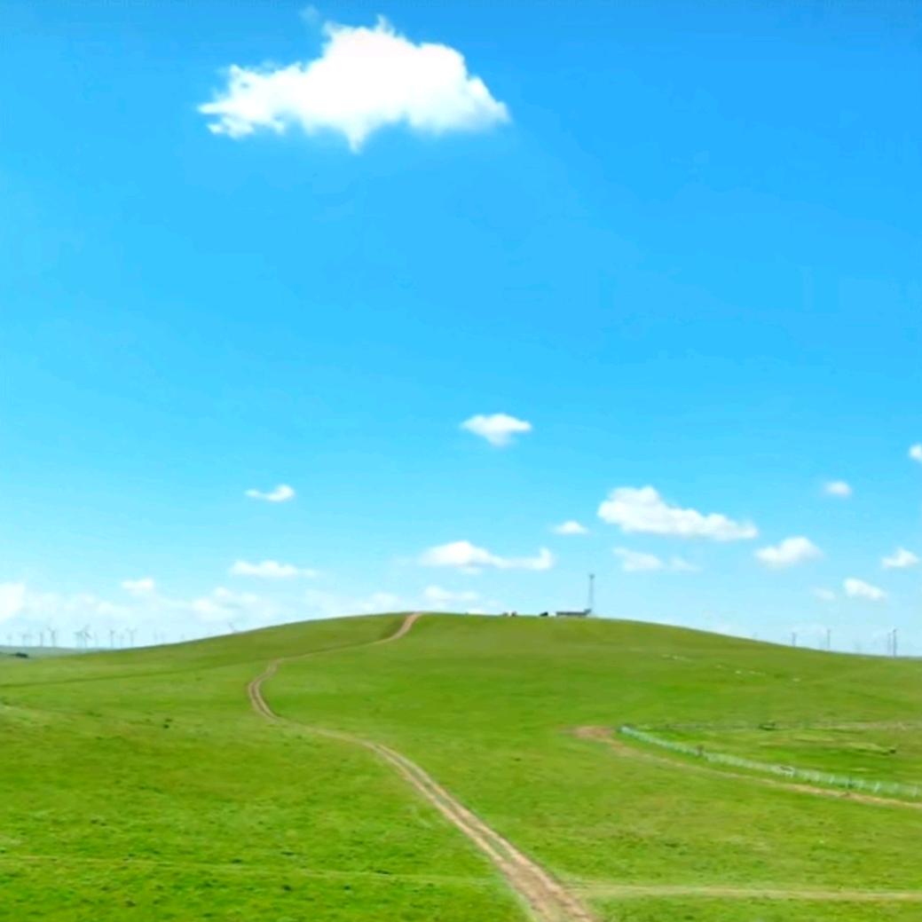 青青的草原，蓝蓝的天！