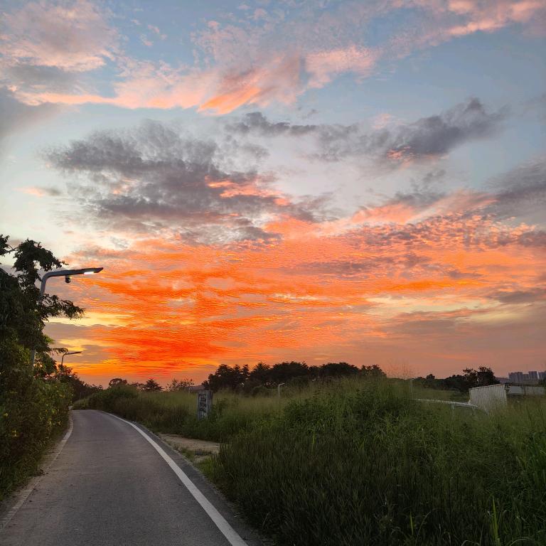 ℒᎭℯ⃝余生ᩚ安ᮨ໌້好࿐