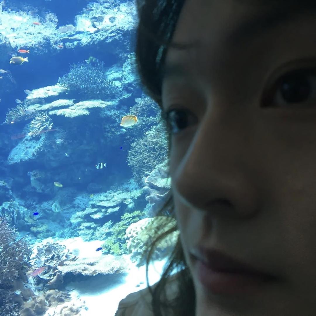 𝙡𝙡𝙮𝙪𝙠𝙞