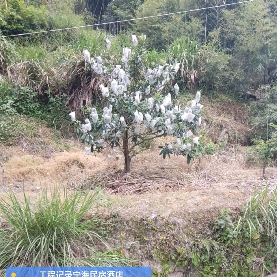 我命由我不由天