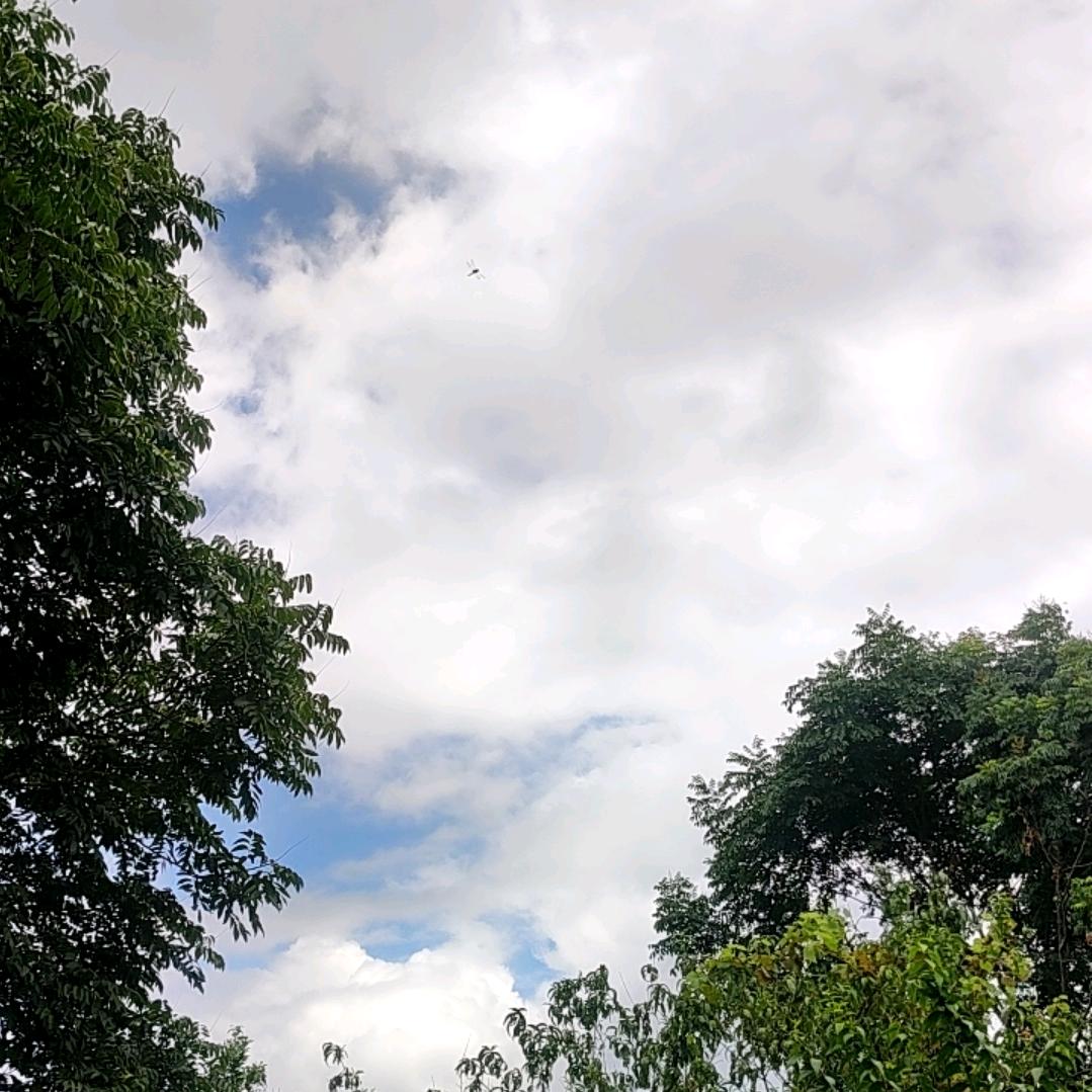 客旅那希望的歌