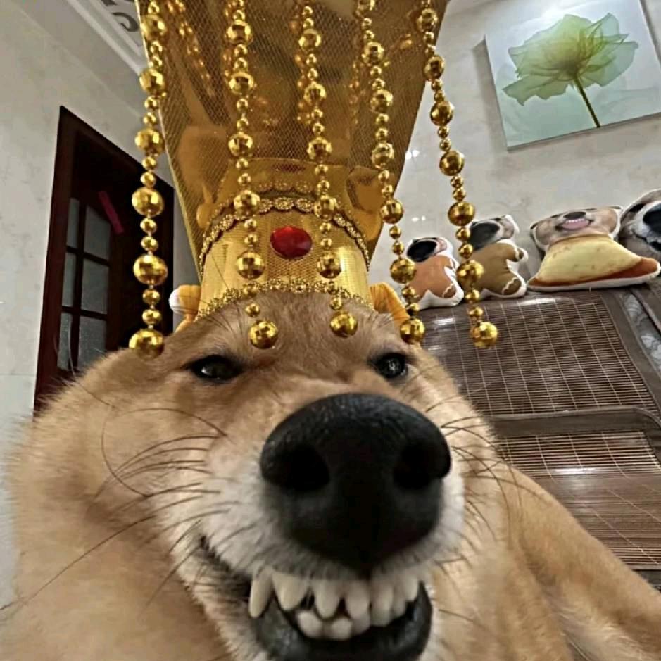 大大大聪明