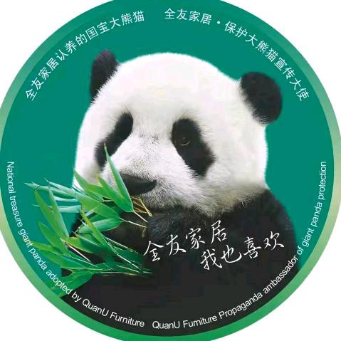 冬天里的玫瑰花