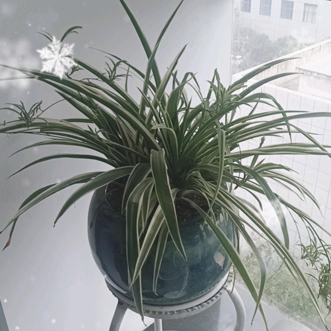 逆水而行