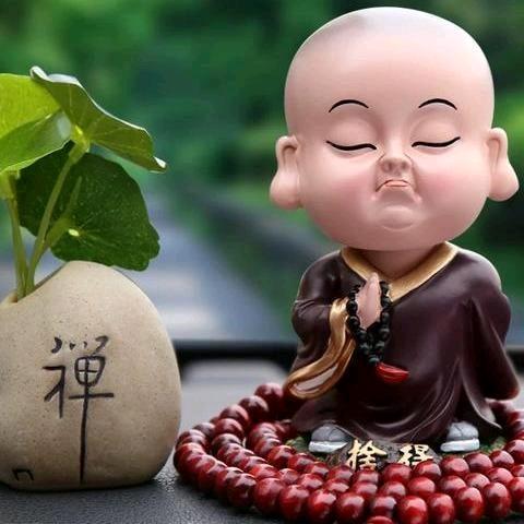 扬帆起航，