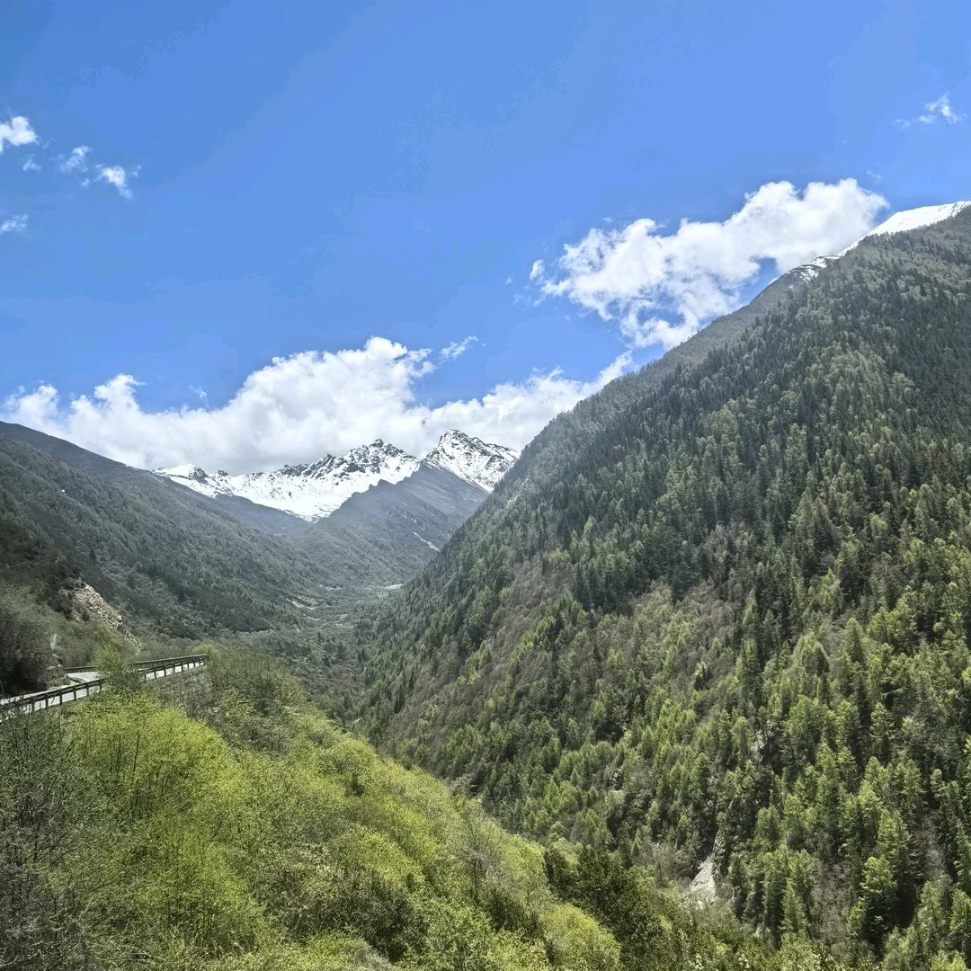 山水