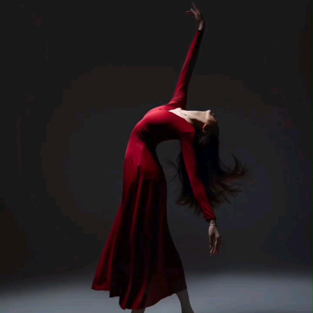轻舞精灵¥