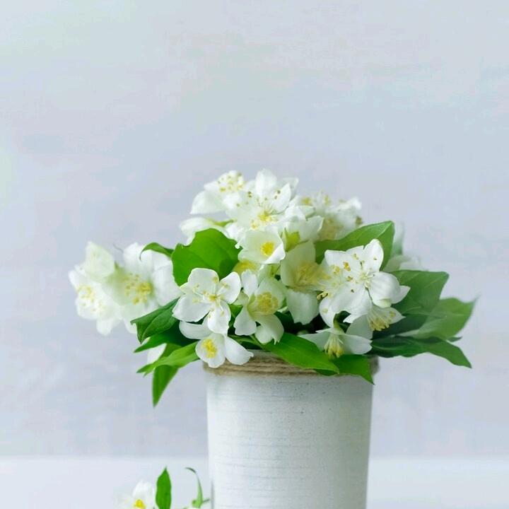 計劃沒有變化快