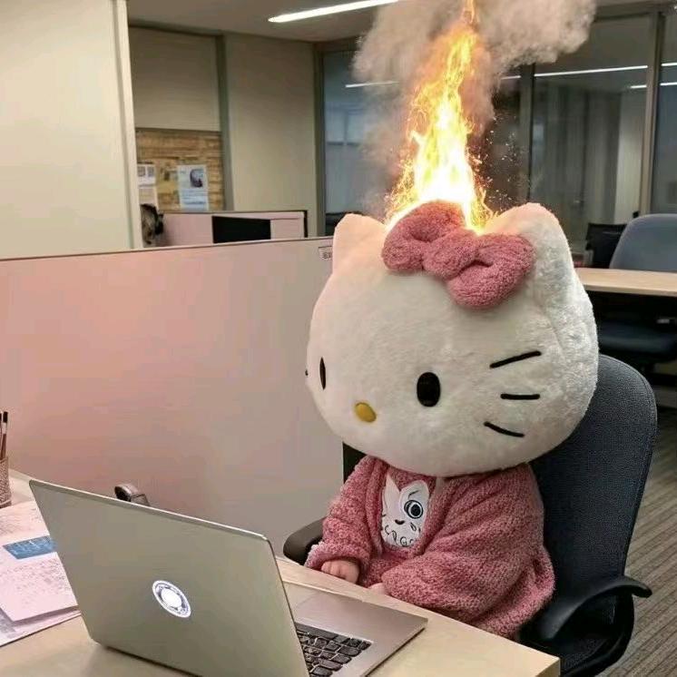 看演唱会做幸福女人