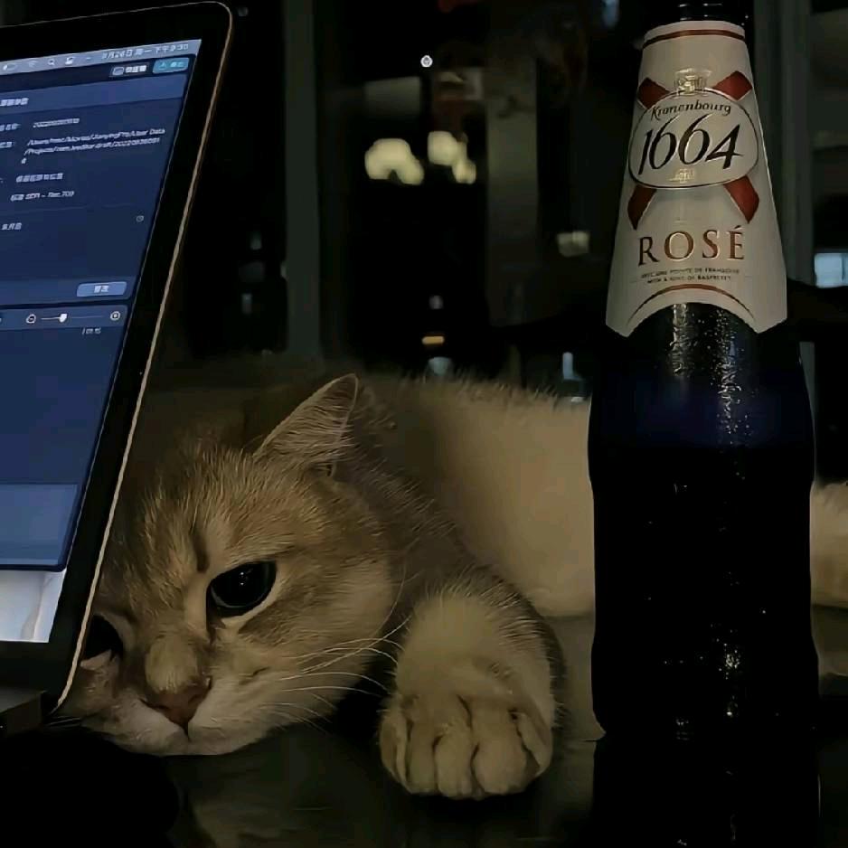 安稳（明日之后版）