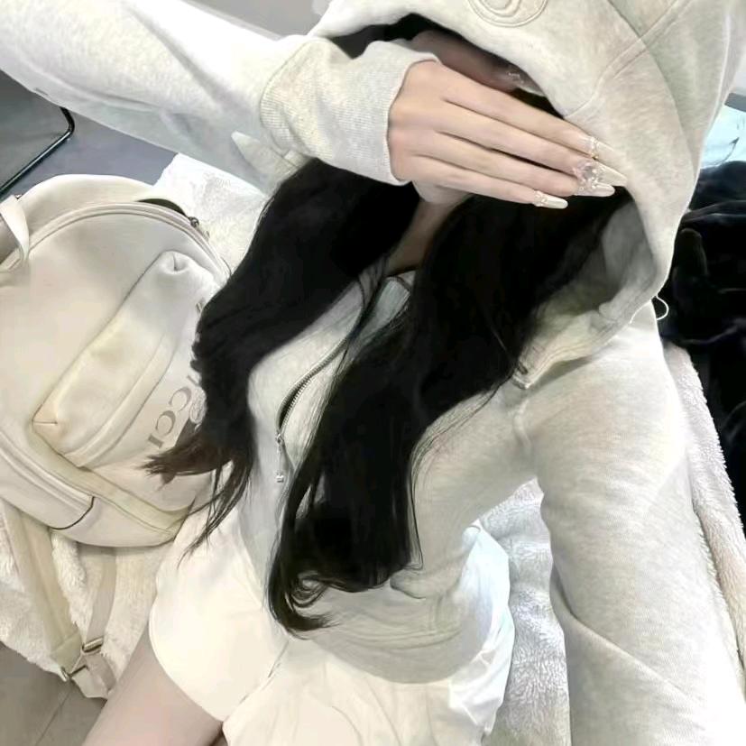 是歌不是鸽