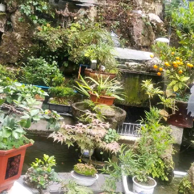 🌵淡定人生💞