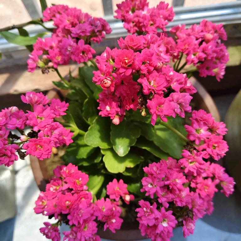 静心❤️