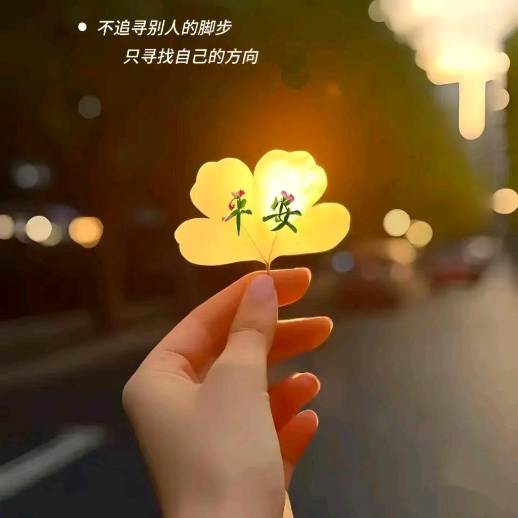 金豆子(每天攒一点)