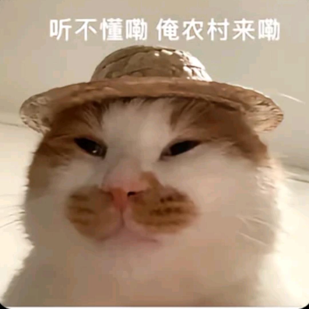 玉米侠🌽