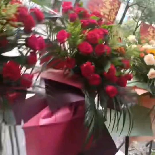 青青河边草🌹🌹🌹🌹🌹