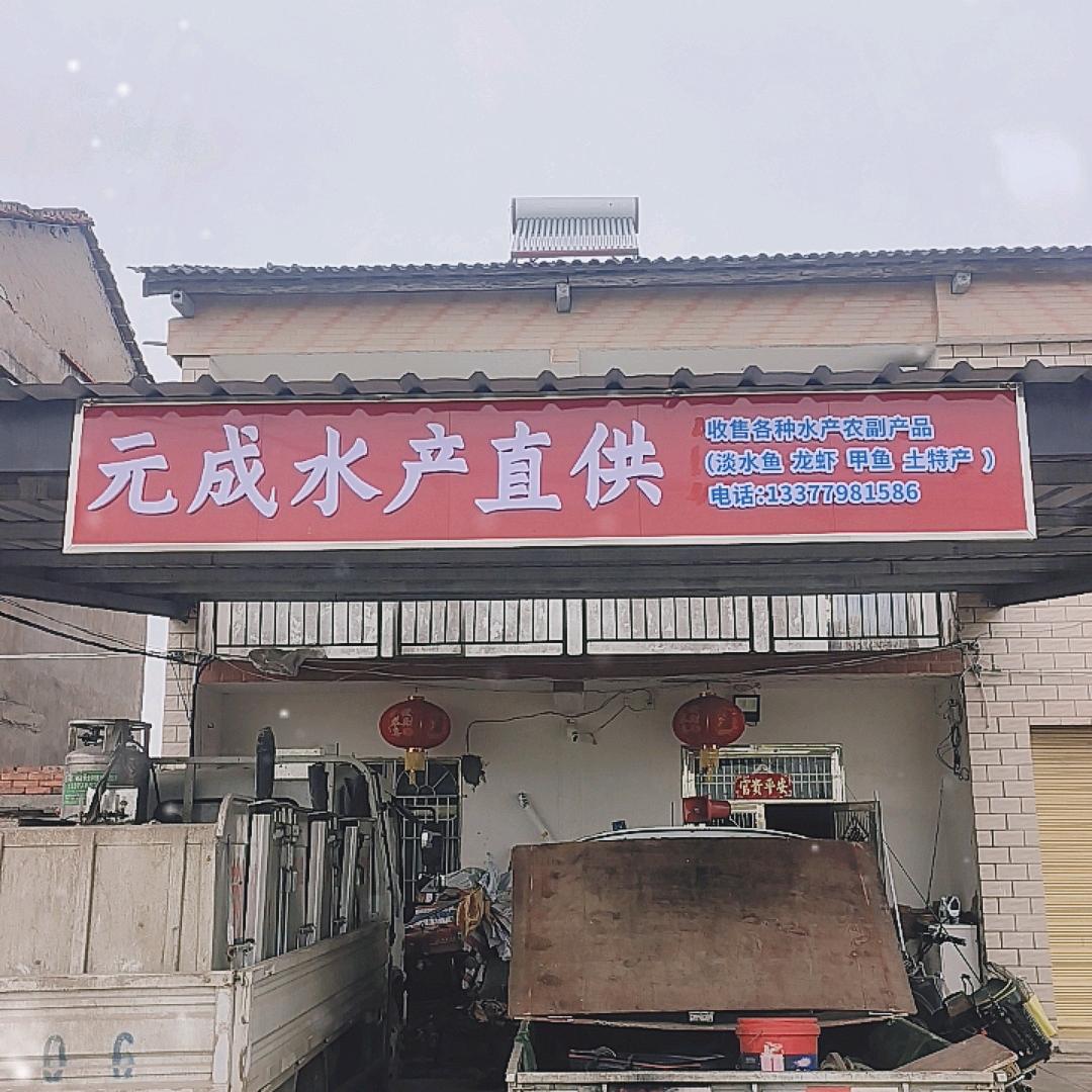 卖鱼小哥
