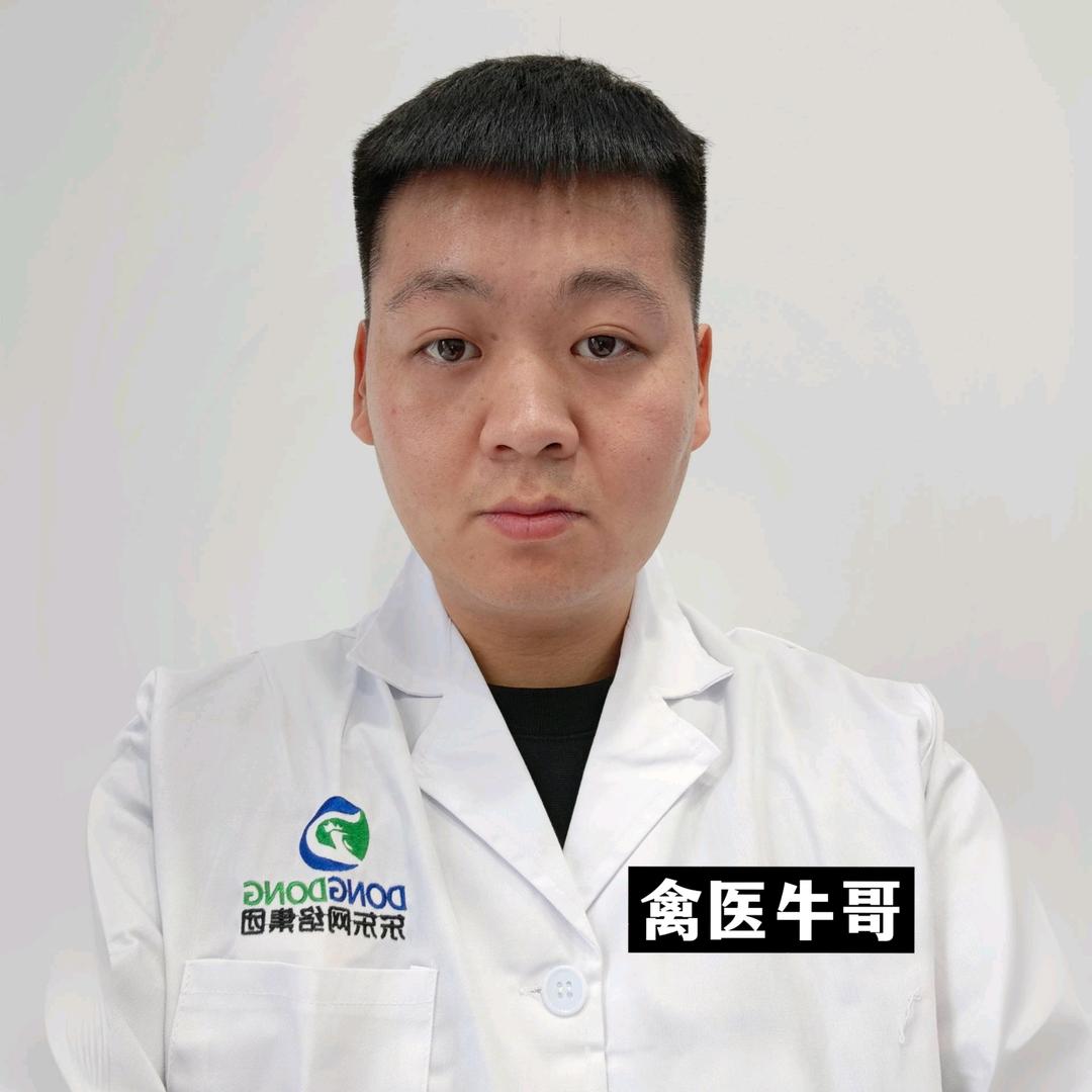 东东禽医牛哥～养鸡技术指导