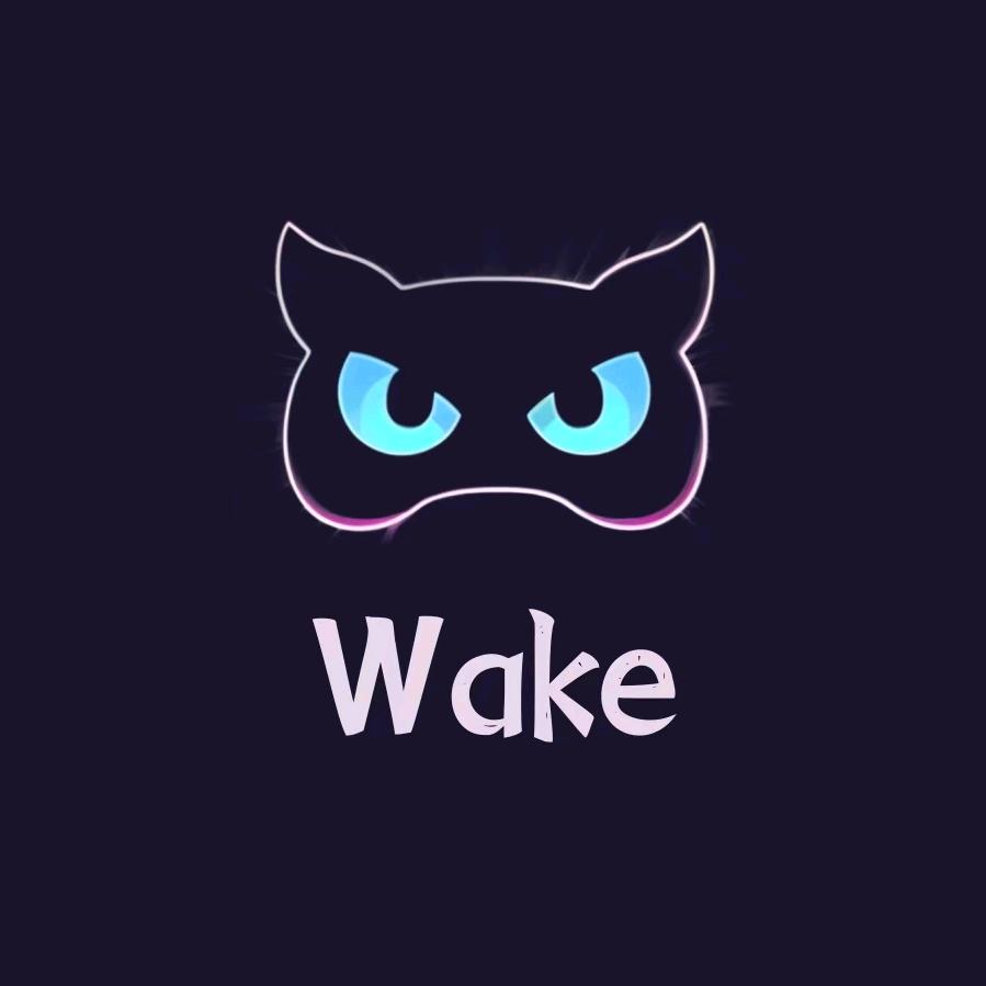 Wake电子竞技