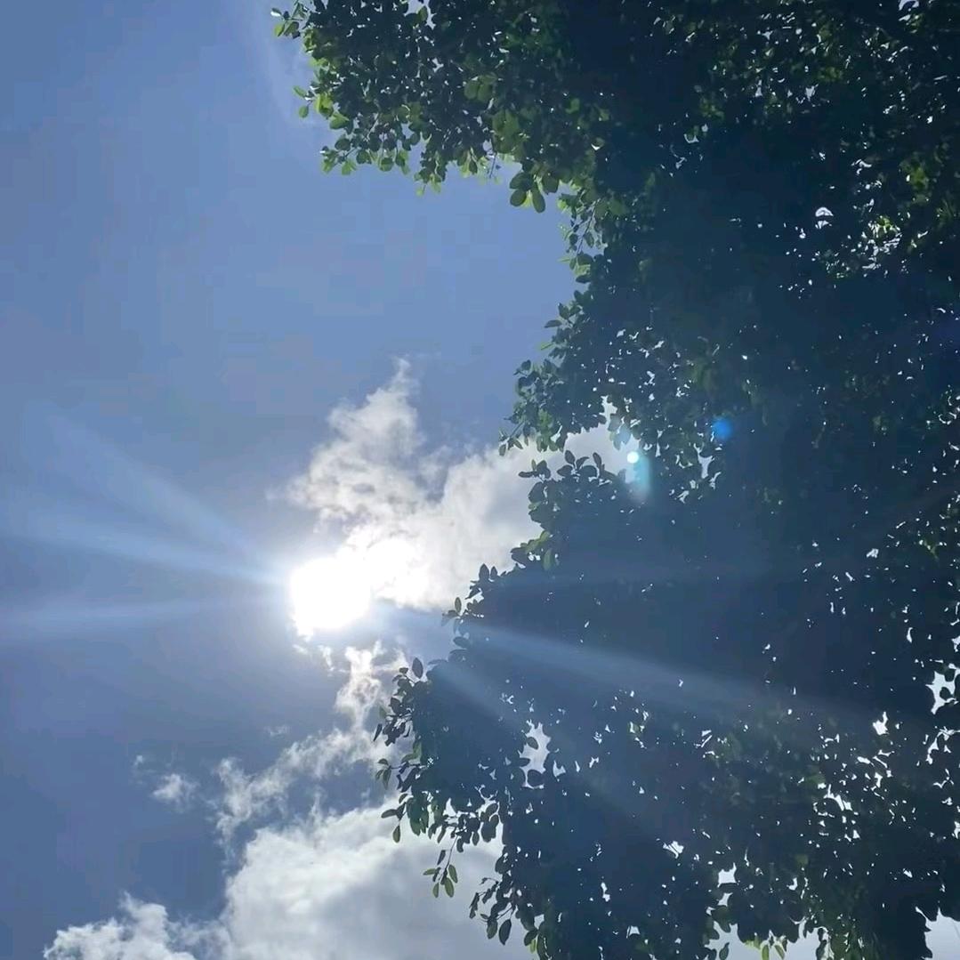 阿尔法