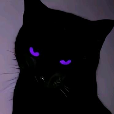 我嘞个豆philargyria