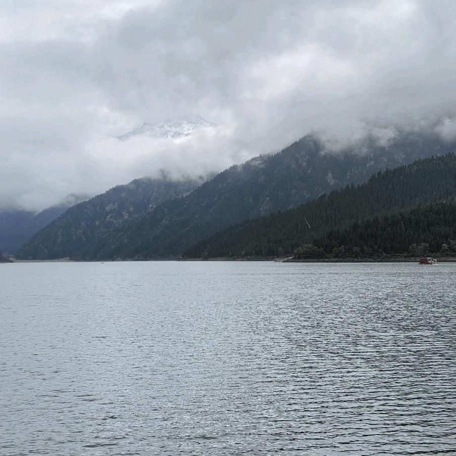 欢天喜乐🐍❄️🌨⛅️🌥