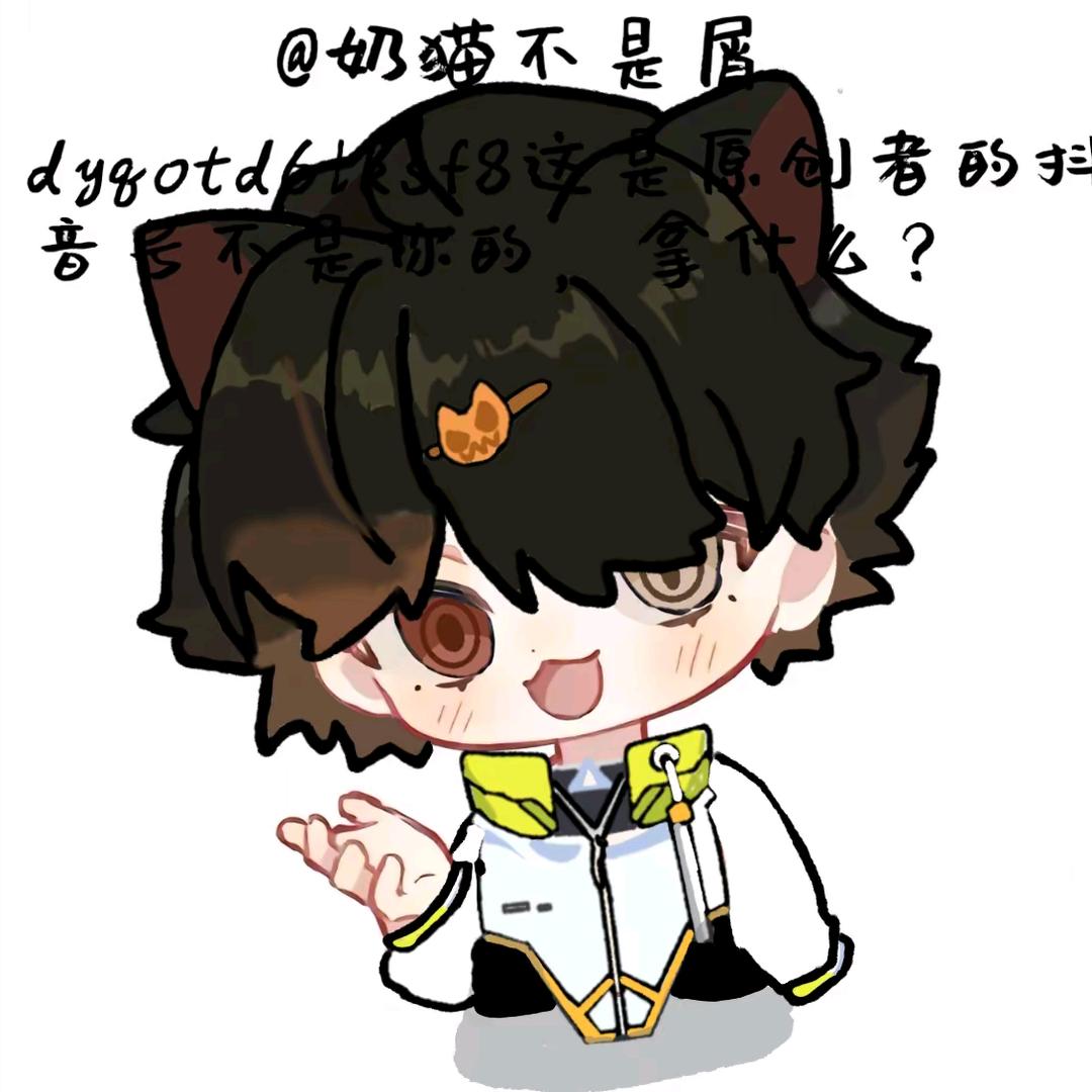 小小猫宝