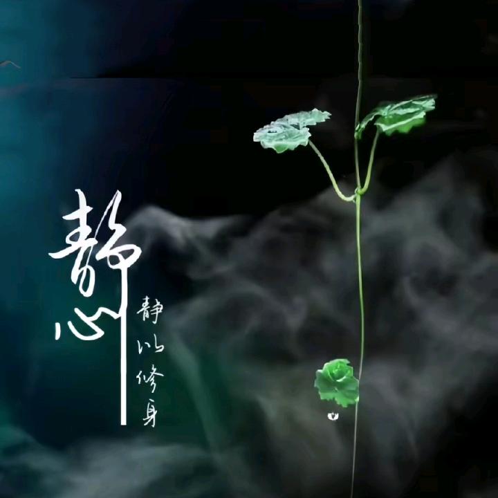 季飞