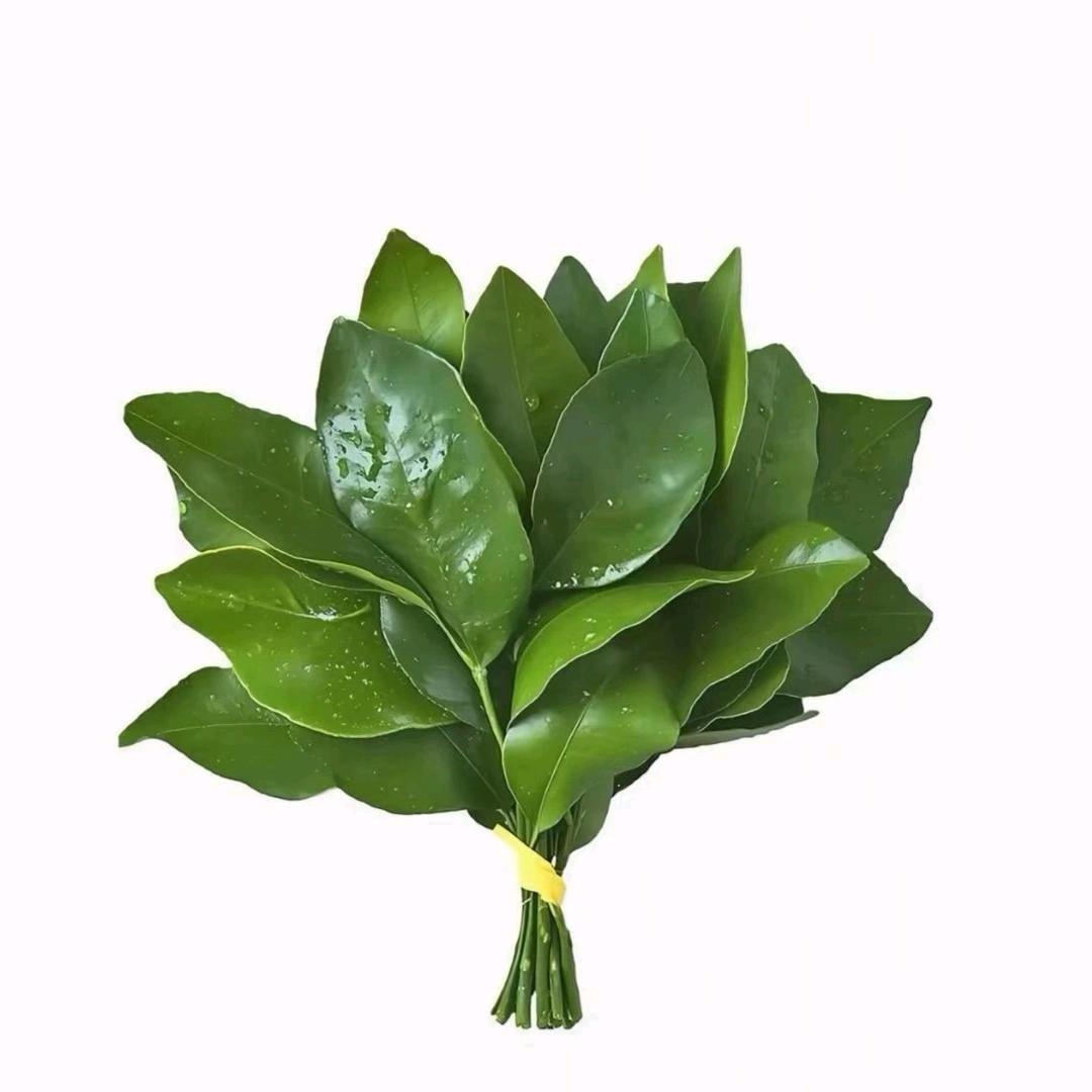 时潏