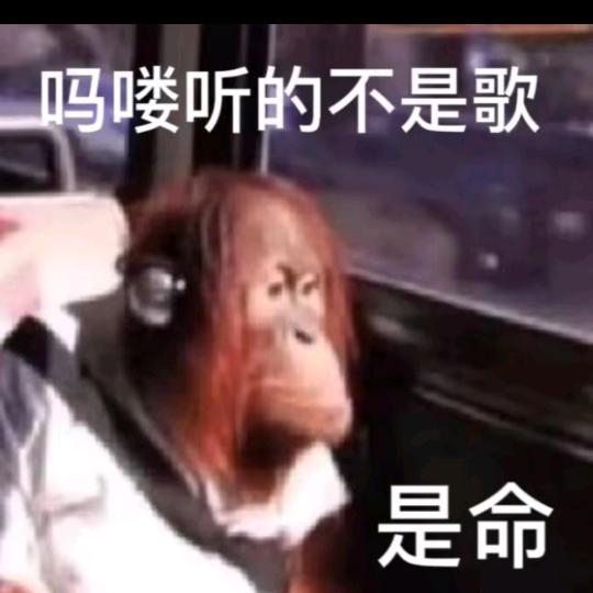 蚂蝼的命也是命