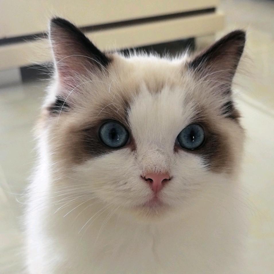 时光荏苒 岁月如梭