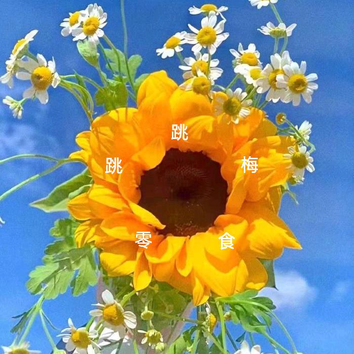 跳跳梅零食