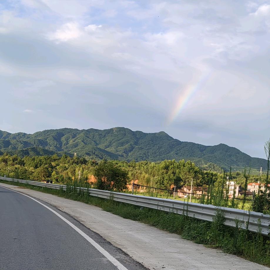 英子（诱蜂养蜂）