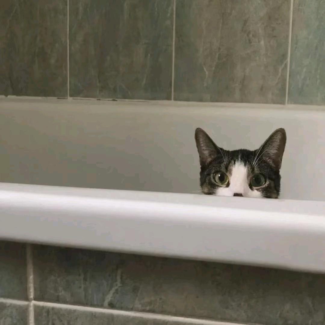 UN.