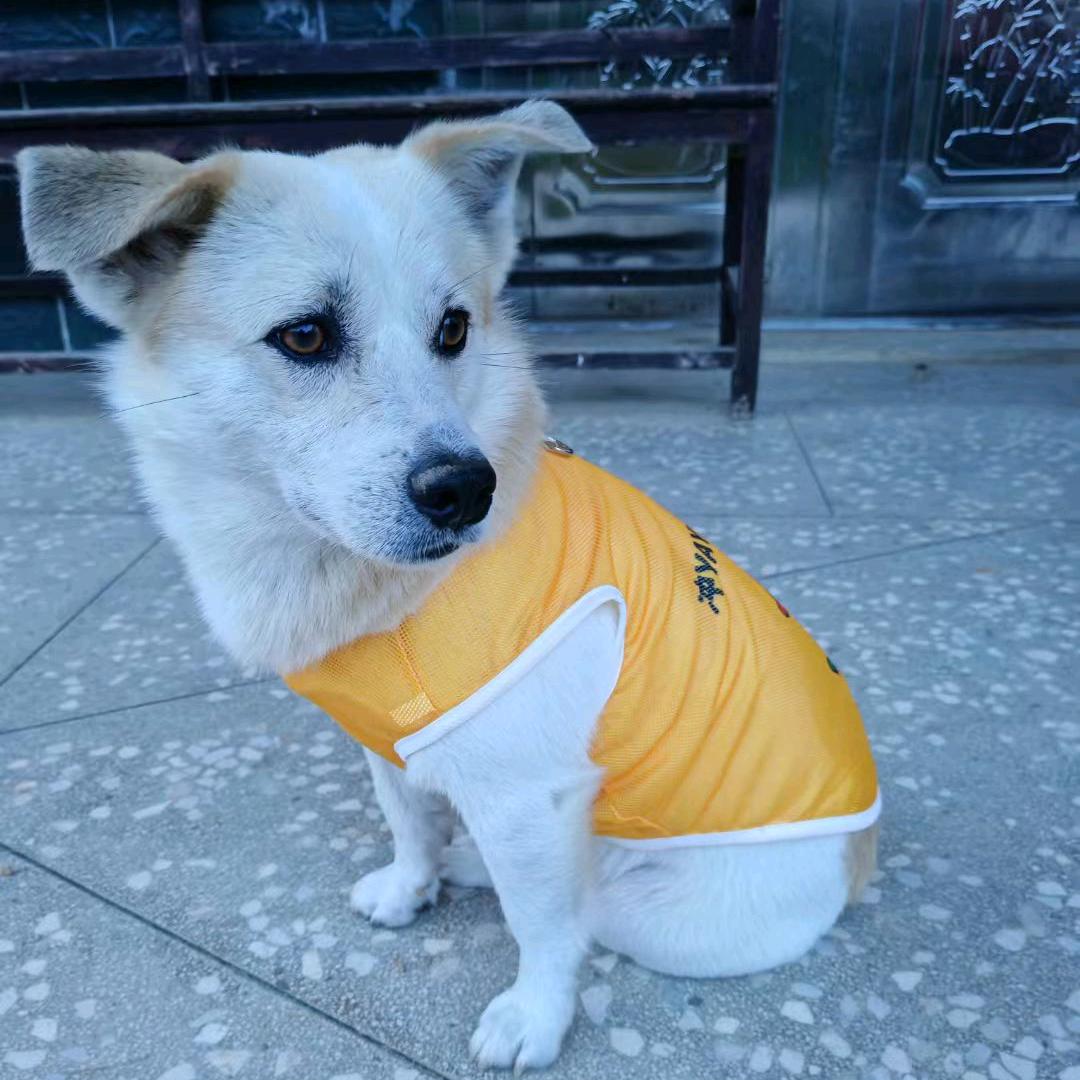 精诚所至金石为开