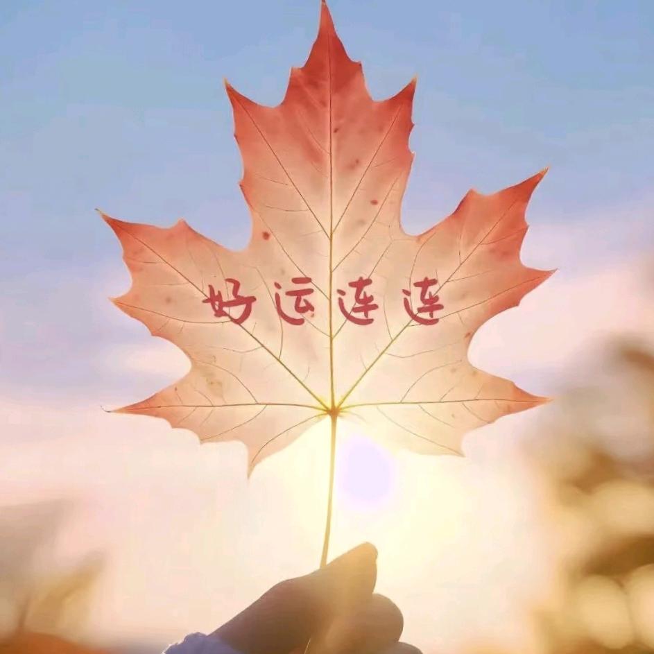 不停留