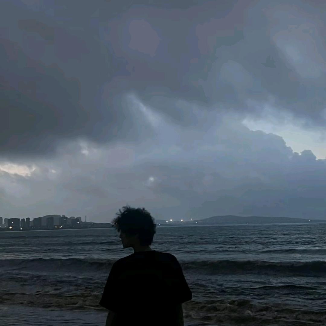 佛系的柠檬茶⚡🐟