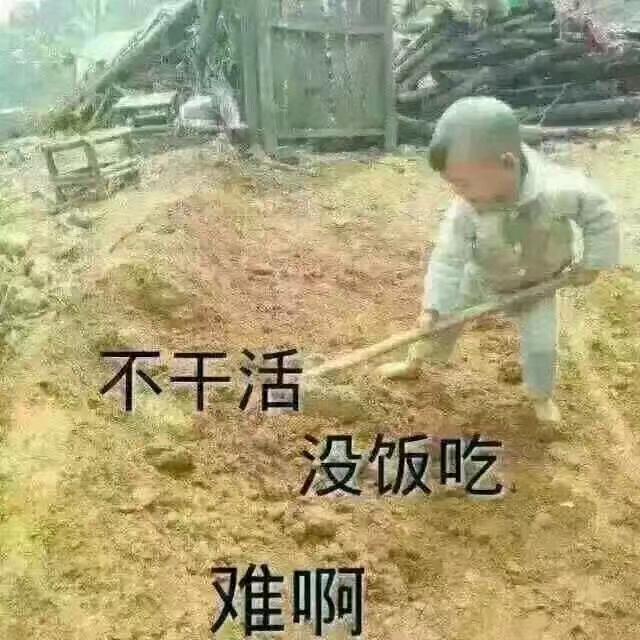 小五六